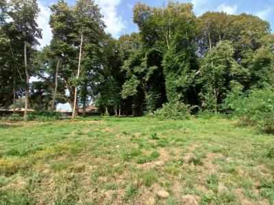 For sale Magescq 949 m2 Landes (40140) photo 2