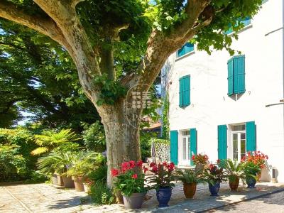 For sale Ales 8 rooms 427 m2 Gard (30100) photo 0