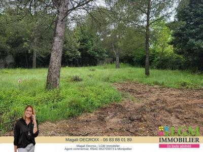 Annonce Vente Terrain Saint-drezery 34