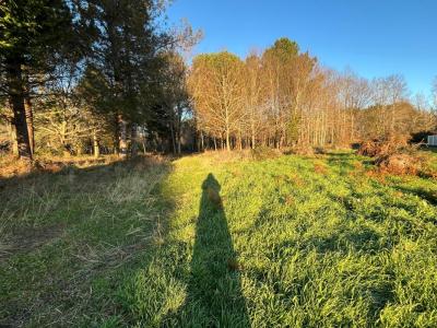 Annonce Vente Terrain Mios 33