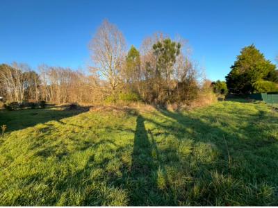 Annonce Vente Terrain Mios 33