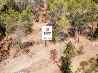 Annonce Vente Terrain Saint-paul-en-foret 83