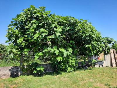 Acheter Maison Vendome 157000 euros