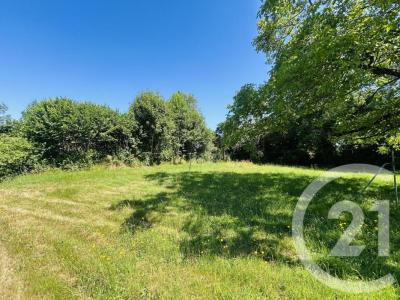 Acheter Terrain Eyjeaux 97900 euros
