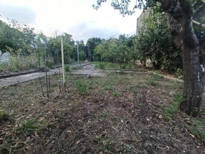 Annonce Vente 2 pices Appartement Lamalou-les-bains 34