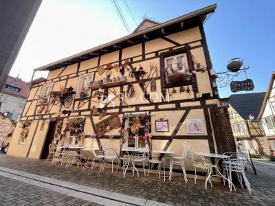 Annonce Vente 4 pices Maison Bouxwiller 67