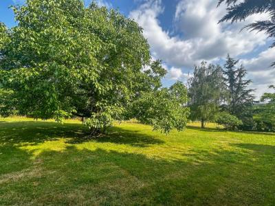 Annonce Vente Terrain Langon 41