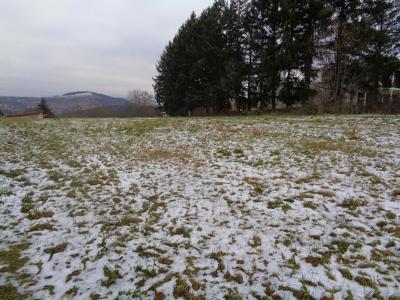 For sale Sanssac-l'eglise 3488 m2 Haute loire (43320) photo 0