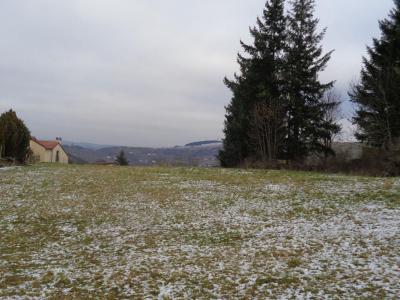For sale Sanssac-l'eglise 3488 m2 Haute loire (43320) photo 4
