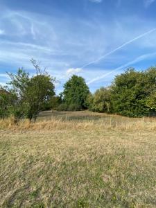 Annonce Vente Terrain Maron 54