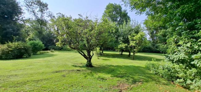 Acheter Maison Montrevel-en-bresse Ain