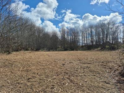 For sale Chapelle-aubareil 2553 m2 Dordogne (24290) photo 0