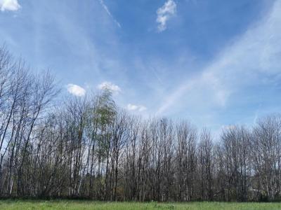 For sale Chapelle-aubareil 2553 m2 Dordogne (24290) photo 2