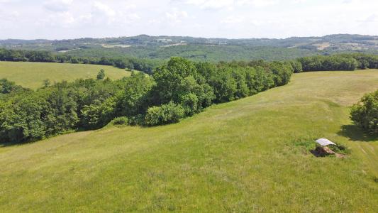 For sale Tamnies 9 rooms 231 m2 Dordogne (24620) photo 4