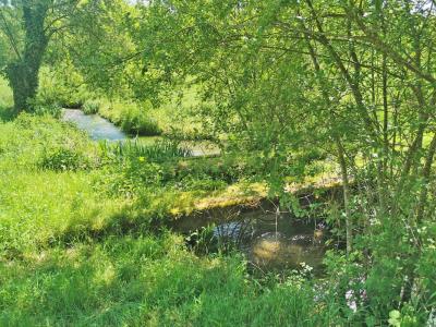 For sale Saint-genies 6 rooms 160 m2 Dordogne (24590) photo 3