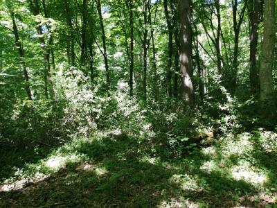 Acheter Terrain 4693 m2 Dampierre-en-yvelines