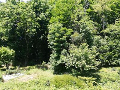 Acheter Terrain Dampierre-en-yvelines Yvelines