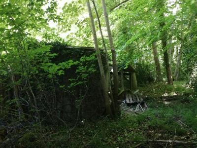 Acheter Terrain Dampierre-en-yvelines 54000 euros