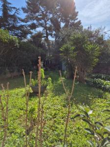 For sale Toulon 5 rooms 120 m2 Var (83200) photo 2
