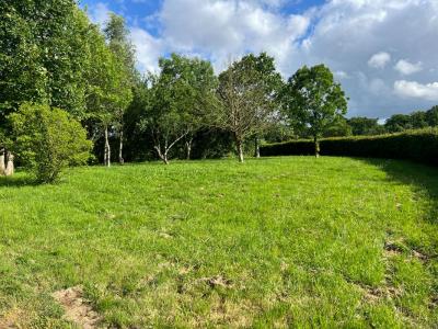 Acheter Maison Exireuil 99990 euros