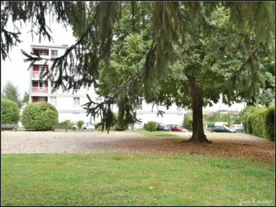 Acheter Appartement 65 m2 Billere
