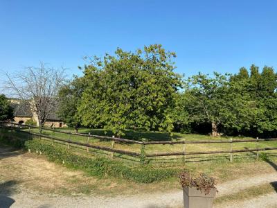 Acheter Maison Bouere Mayenne