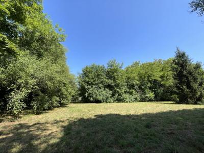 Annonce Vente Terrain Fussy 18