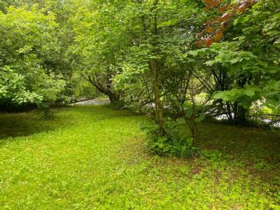For sale Beussent 1240 m2 Pas de calais (62170) photo 3