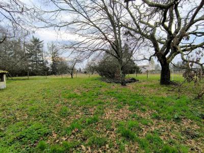 Annonce Vente Terrain Lalande-de-pomerol 33