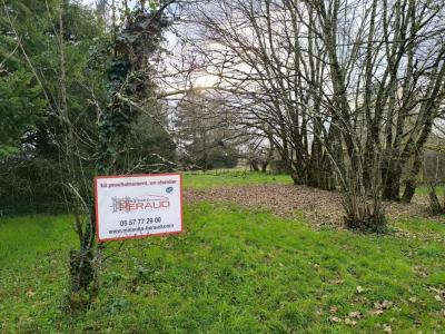 Acheter Terrain Lalande-de-pomerol 65000 euros