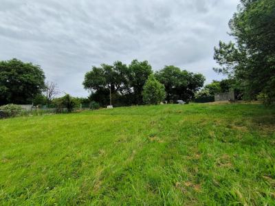 Annonce Vente Terrain Saint-loubes 33