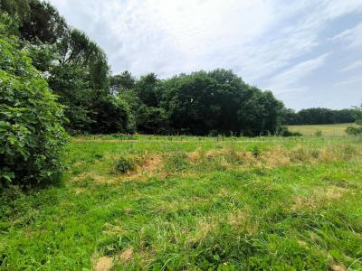 Acheter Terrain 1000 m2 Saint-loubes