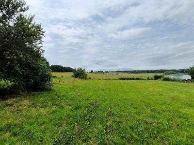 Acheter Terrain Saint-loubes Gironde