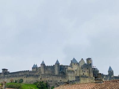 For sale Carcassonne 5 rooms 140 m2 Aude (11000) photo 0