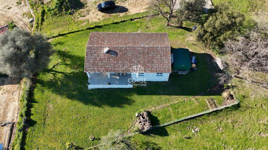 For sale Aleria 4 rooms 95 m2 Corse (20270) photo 1