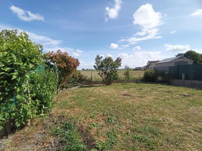 For sale Armbouts-cappel 79 m2 Nord (59380) photo 3