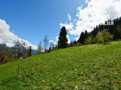 Annonce Vente Terrain Riviere-enverse 74