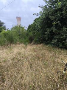 For sale Biscarrosse 90 m2 Landes (40600) photo 1