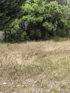 For sale Biscarrosse 80 m2 Landes (40600) photo 0