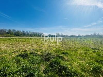 Annonce Vente Terrain Douai 59