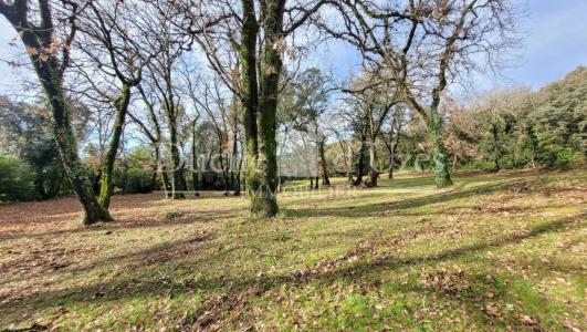 Acheter Maison 141 m2 Ales