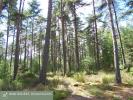 For sale Prestigious house Romorantin-lanthenay