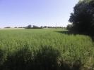 For sale Land Nachamps  4397 m2