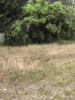 Vente Maison Biscarrosse 80 m2