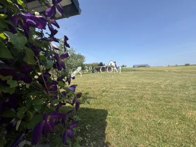 Acheter Prestige Hochfelden 447000 euros
