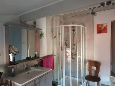 For sale 9 rooms 179 m2 Loire (42520) photo 3