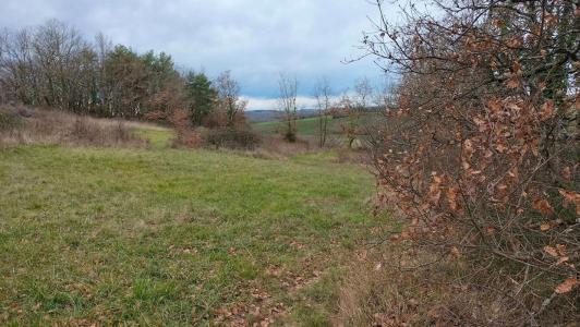 Acheter Terrain Beraut 28000 euros