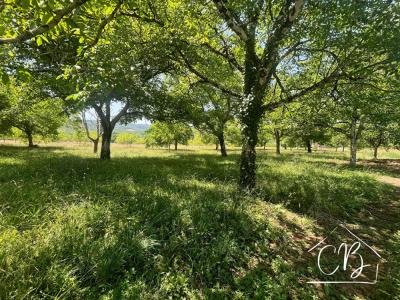 Annonce Vente Terrain Sergeac 24