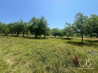 Acheter Terrain Sergeac 70000 euros