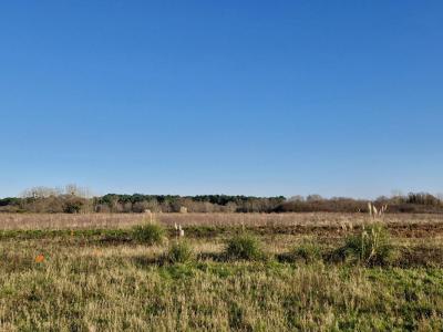 Acheter Terrain Riantec Morbihan